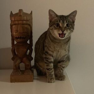 Meet your Posher, Audrey